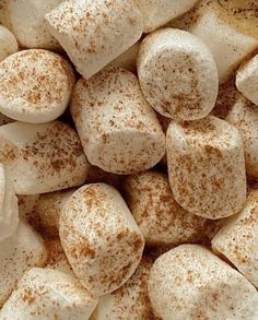 marshmallows with cinnamon sprinkled on top