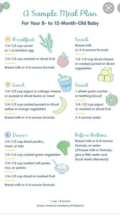 the meal plan for your 8 to 12 month old baby