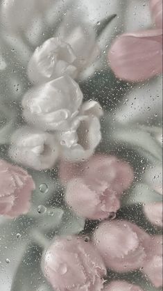 pink and white flowers are seen through the raindrops on a glass window with water droplets