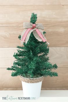 a potted christmas tree with a bow on it