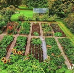 an aerial view of a vegetable garden with sunflowers and other plants in the foreground