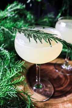 two glasses filled with white wine sitting on top of a wooden table next to green plants