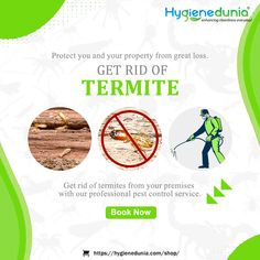 an ad for termite pest control in the philippines, with images of bugs and insects