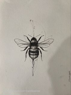 a black and white drawing of a bee with long antennae on it's back