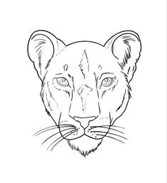 a black and white drawing of a tiger's face