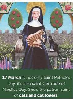 the saint patrick's day card features an image of a woman holding a cat