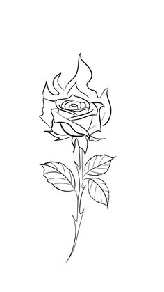 a drawing of a single rose on a white background with the outline for it to be drawn