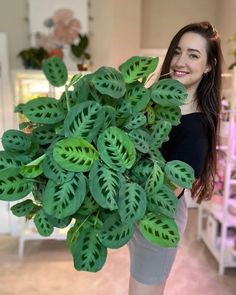 a woman holding a large green plant in her hands