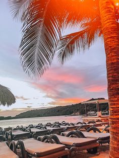 many lounge chairs are lined up on the beach under a palm tree as the sun sets