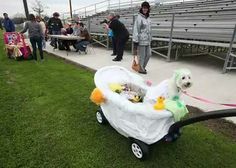 a dog sitting in a wagon filled with toys on the side of a baseball field