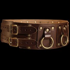 a brown leather belt with metal buckles and two rings on the side, all in different sizes