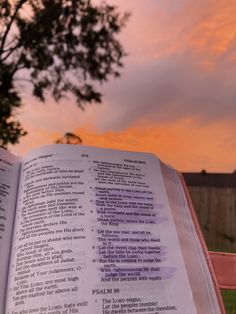 an open book sitting on top of a pink chair in front of a tree at sunset