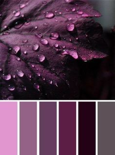 a purple color scheme with rain drops on the leaves