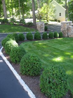 a green lawn and some bushes in front of a house