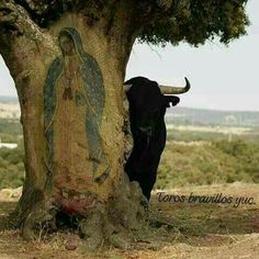 a cow standing next to a tree with a virgin mary painting on it's trunk