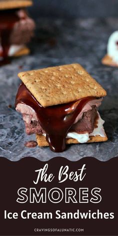 the best s'mores ice cream sandwiches