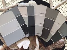 four different shades of gray paint sitting on top of a table next to mushrooms and seashells