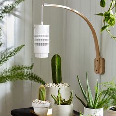 Grow Lamps Indoor, Grow Lights For Houseplants Set Up, Indoor Plant Lighting Ideas, Grow Light Set Up, Plant Lights Indoor Setup, Grow Light Ideas, Grow Lights For Houseplants, Grow Shelf, Grow Lights Diy