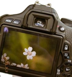 a close up of a camera with a flower on the screen