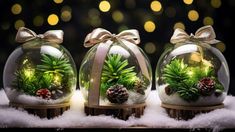 three glass vases with plants and pine cones in them on top of snow covered ground