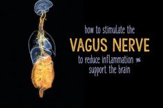 Stimulate Vagus Nerve, Vegas Nerve, Nerve Disorders, Diy Wellness