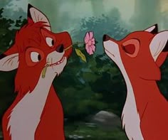 two red foxes facing each other and one has a flower in it's mouth