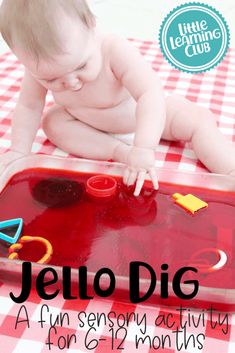 a baby playing with a red tray on top of a checkered table cloth and the words jello dig