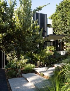 the house is surrounded by trees and plants