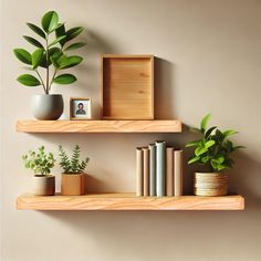 two wooden shelves with books and plants on them