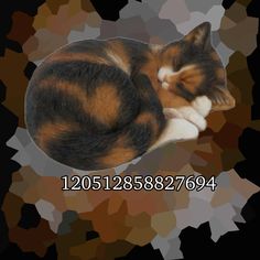 a calico cat sleeping on top of a black and white background with the caption's name below it