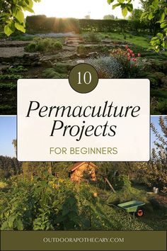 the cover of 10 permaculture projects for beginners