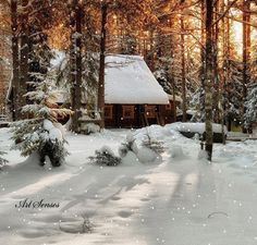 a cabin in the woods is covered with snow