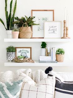 a living room filled with lots of furniture and plants on top of white shelving