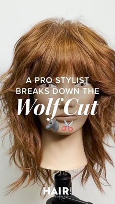 Wolf Cut Hair, Curly Hair Updo, Bangs Curly, Peinados Fáciles Para Cabello Corto, Curly Hair Inspiration, Hair Trend, Curly Hair Routine, Curly Hair With Bangs