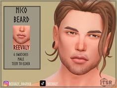 an image of a man with long hair and beard for the simster's avatar