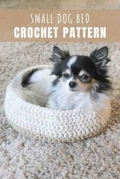 a small dog sitting in a crochet bed on the floor with text overlay that reads, small dog bed crochet pattern