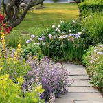 a garden filled with lots of different types of flowers