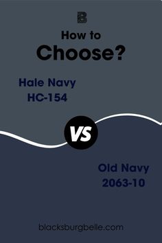 an old navy book is shown with the title how to choose? hale navy vs old navy