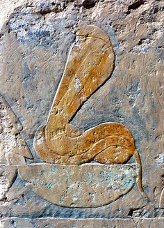 an ancient painting on the side of a building with a snake in it's mouth