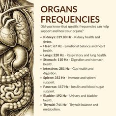 Bruce Lipton, Frequency Healing, Gregg Braden, Joe Dispenza, Herbal Healing, Healing Frequencies, Home Health Remedies, Kidney Health