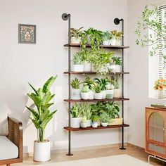 Bamworld 4 Tier Tall Plant Stand 73 Inch Tall Plant Shelf Ladder Plant Stand, Multi-Purpose Plant Display Rack for Indoor, Balcony, Living Room, Brown and Black.We believe that beautiful and original designs should return to nature. We focus on innovation and the novelty that our products bring to you. Black Ladder Shelf, Outdoor Shelves, Vintage Regal, Pot Organization, Wall Mounted Bookshelves, Ladder Bookshelf, Wall Bookshelves, Plant Stand Indoor