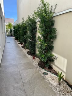 there are many trees in the corner of this building, along with gravel and rocks