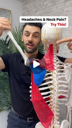 2M views · 44K likes | Dr. Joe Damiani - TMJ, Head & Neck Specialist on Instagram: "If you experience headaches and neck pain, then I’m sure you’ve tried many stretches and releases at the neck but we need to look further into the secondary impairments. Meaning what is causing everything to tighten up and produce headaches. One of those things have to do with the muscle that act the shoulder. In this video, I showed the latissimus dorsi and the upper trapezius and how they have a tug-of-war relationship. If you can mobilize the latissimus dorsi and free tension on the upper trap, you can reduce neck pain and headaches. Give the exercises in this video a try. #neckpain #neckpaintreatment #headacherelief #headachessuck #uppercervical #latsworkout #latissimusdorsi" Somatic Exercises For Neck And Shoulders, Relieve Tension In Neck And Shoulders, Head And Neck Stretches, Exercise For Stiff Neck And Shoulders, Trap Stretches Neck Pain, Neck Stretches For Stiff Neck, Neck Muscle Exercises, Neck Release, Stiff Neck Relief