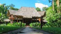 a house in the middle of a lush green area with a walkway leading to it