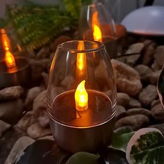 lit candles in glass vases sitting on rocks and plants next to each other with leaves around them