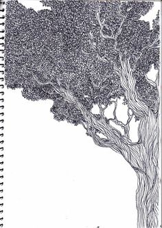 an ink drawing of a tree on a white background