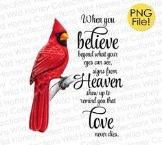 a red bird sitting on top of a tree branch with the words, when you believe beyond