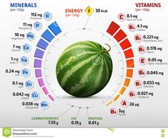 Vitamins and minerals of watermelon fruit. Illustration about circle, green, carbohydrate, melon, calorie, infographic, horticulture, gardening, food, healthful, design - 76043736 1000 Calorie, Watermelon Health Benefits, Watermelon Benefits, Fruit Nutrition, Health Fitness Nutrition, Watermelon Fruit, Healing Food