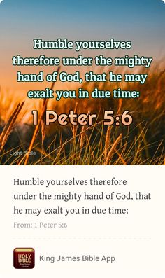 the bible verse with an image of grass