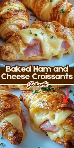 baked ham and cheese croissants on a plate